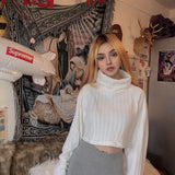 Chenille Turtleneck Cropped Sweater