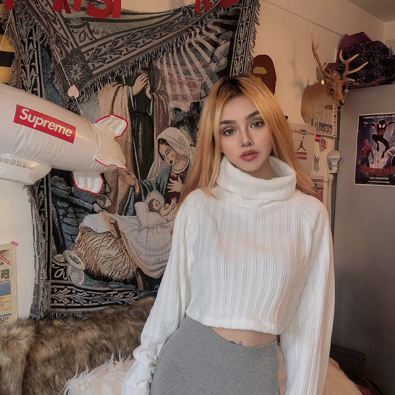 Chenille Turtleneck Cropped Sweater