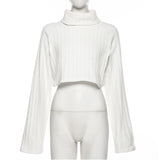 Chenille Turtleneck Cropped Sweater