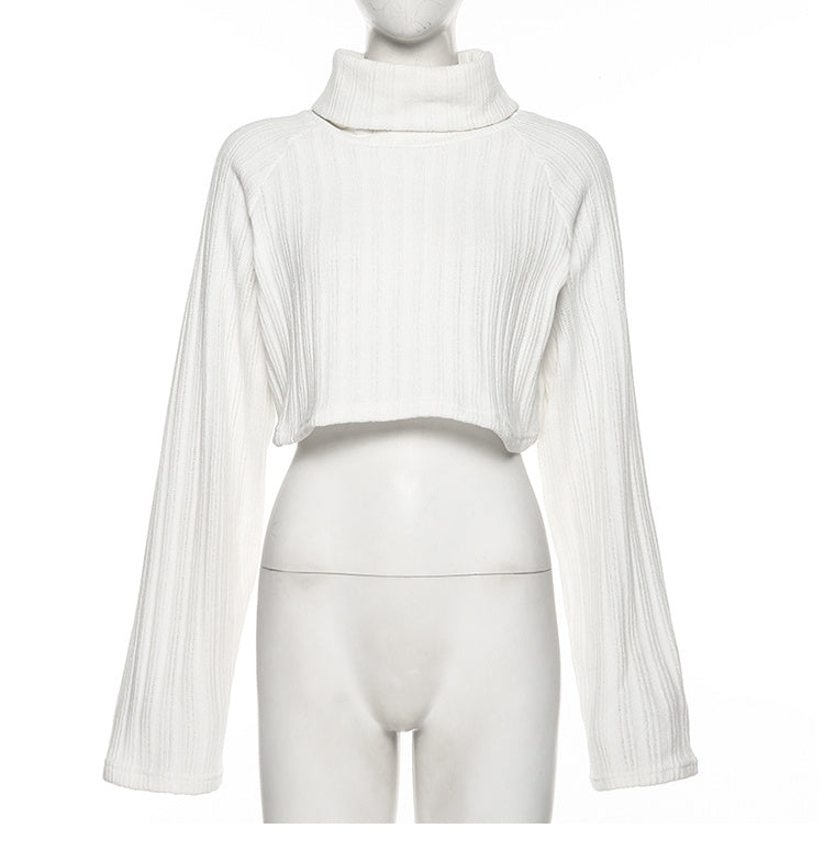 Chenille Turtleneck Cropped Sweater