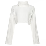 Chenille Turtleneck Cropped Sweater