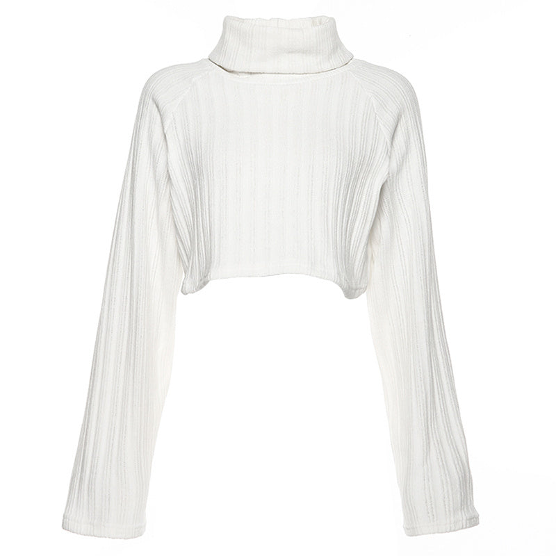 Chenille Turtleneck Cropped Sweater