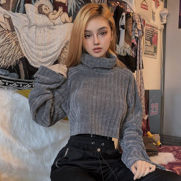 Chenille Turtleneck Cropped Sweater