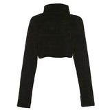 Chenille Turtleneck Cropped Sweater