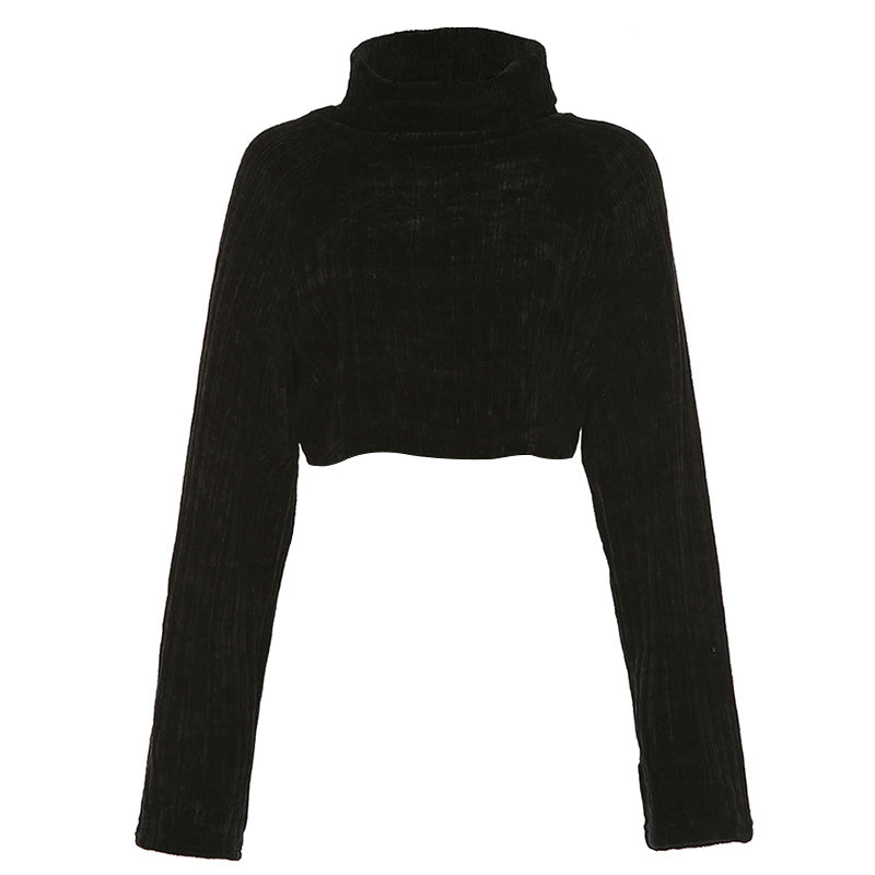 Chenille Turtleneck Cropped Sweater
