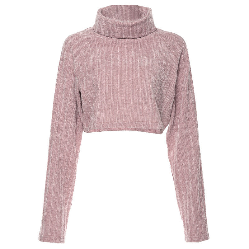 Chenille Turtleneck Cropped Sweater