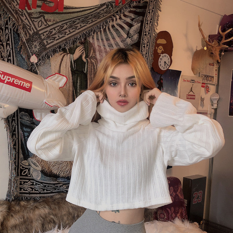 Chenille Turtleneck Cropped Sweater